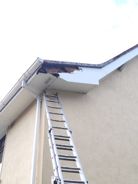 Roof Repair Service in Davenport